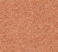 Joy Carpet