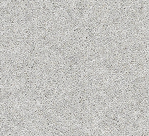 Joy Carpet