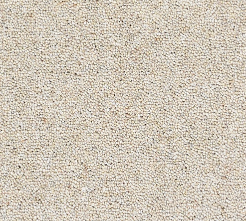 Joy Carpet