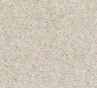 Joy Carpet