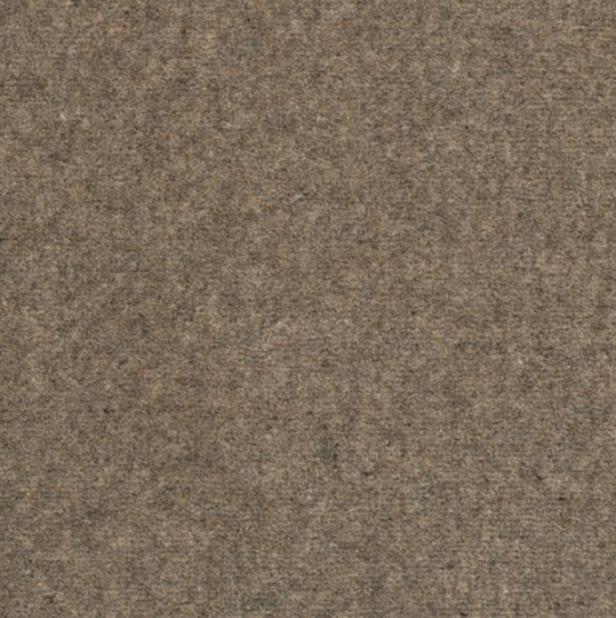 Pure and Simple Carpet