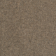 Pure and Simple Carpet