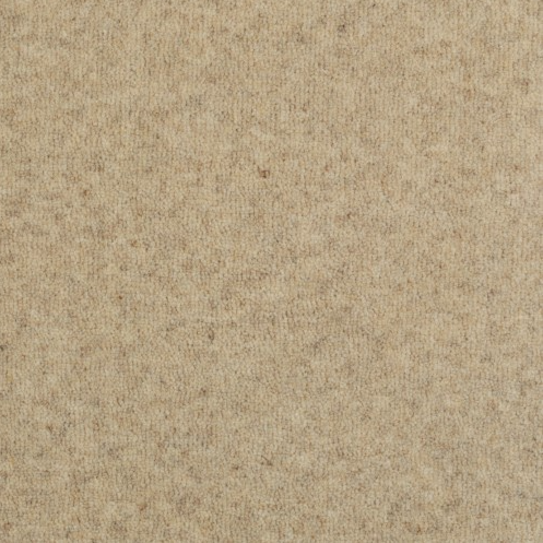 Pure and Simple Carpet
