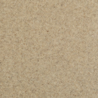 Pure and Simple Carpet