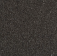 Pure and Simple Carpet