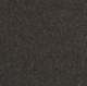 Pure and Simple Carpet