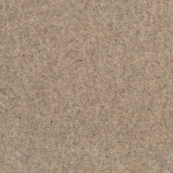 Pure and Simple Carpet