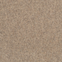 Pure and Simple Carpet