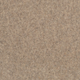 Pure and Simple Carpet