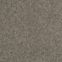 Pure and Simple Carpet