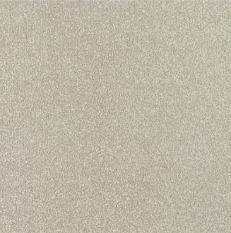 New Sentiment Carpet