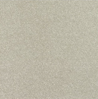 New Sentiment Carpet