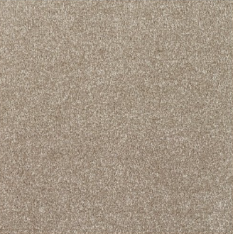 New Sentiment Carpet