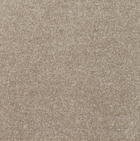 New Sentiment Carpet