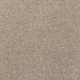 New Sentiment Carpet