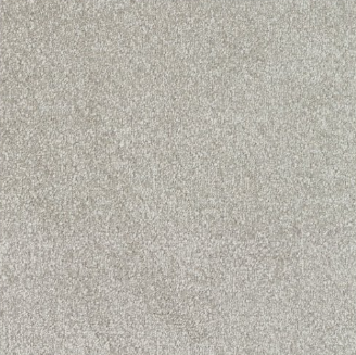 New Sentiment Carpet