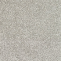 New Sentiment Carpet