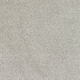 New Sentiment Carpet
