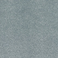 New Sentiment Carpet