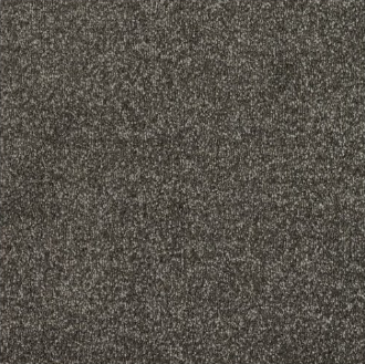 New Sentiment Carpet