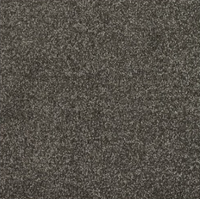 New Sentiment Carpet