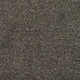 New Sentiment Carpet