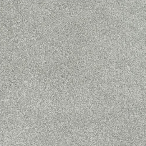 New Sentiment Carpet