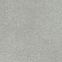New Sentiment Carpet