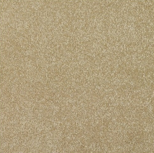 New Sentiment Carpet