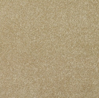 New Sentiment Carpet