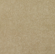New Sentiment Carpet
