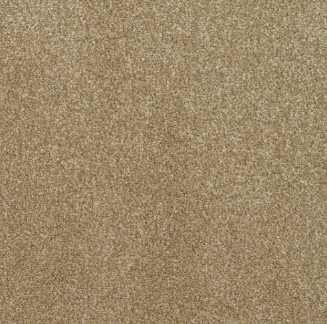 New Sentiment Carpet