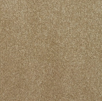 New Sentiment Carpet