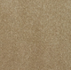 New Sentiment Carpet