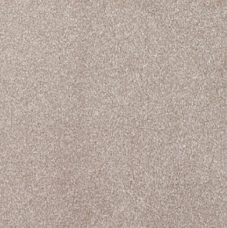 New Sentiment Carpet