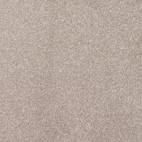 New Sentiment Carpet