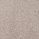 New Sentiment Carpet
