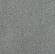 New Sentiment Carpet