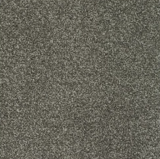 New Sentiment Carpet