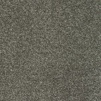 New Sentiment Carpet