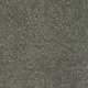 New Sentiment Carpet