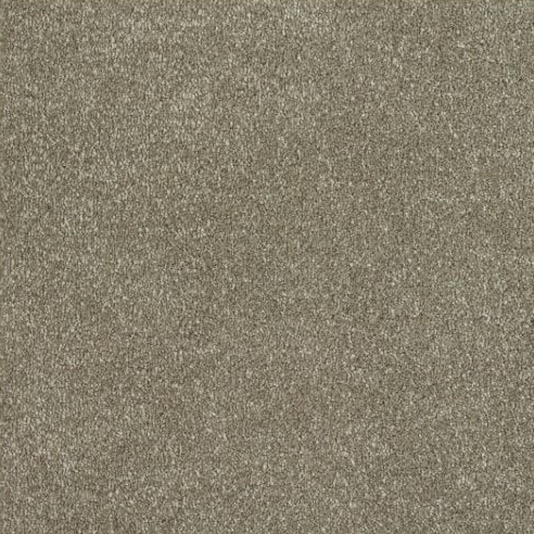 New Sentiment Carpet