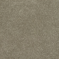 New Sentiment Carpet