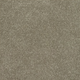 New Sentiment Carpet
