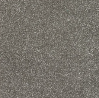New Sentiment Carpet