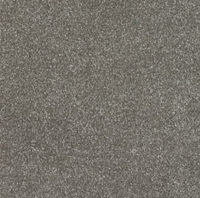New Sentiment Carpet