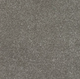 New Sentiment Carpet