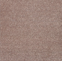 New Sentiment Carpet