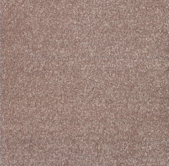 New Sentiment Carpet