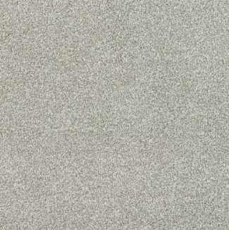 New Sentiment Carpet